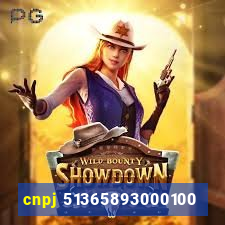 cnpj 51365893000100